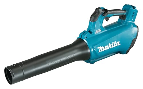 Rental store for blower hand held cordless in Snohomish County