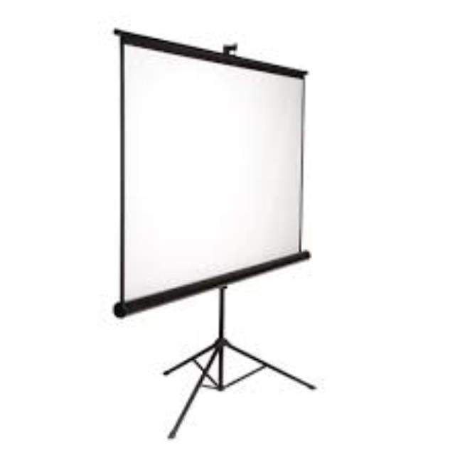 Where to find projection screen 70 inch x 70 inch in Everett